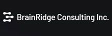 Brainridge Consulting:  Redefining Premium Technology Consulting through Robust Bespoke Solutions
