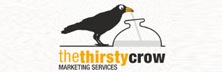 The Thirsty Crow Marketing Services: Scaling New Heights with Comprehensive Digital Marketing Solutions