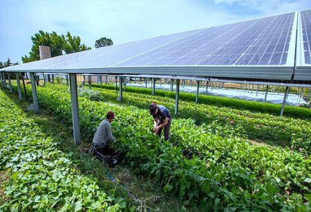 Union Cabinet Approves Major Agricultural and Green Energy Plans; Honours Indian Astronaut