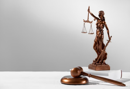 NFRA Judgement preventing DHFL from acting as a Branch Auditor