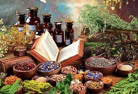 India Launches Ayush Nivesh Saarthi Portal to Boost Investment in Traditional Medicine