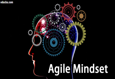 Why should the Leaders have an agile mindset?