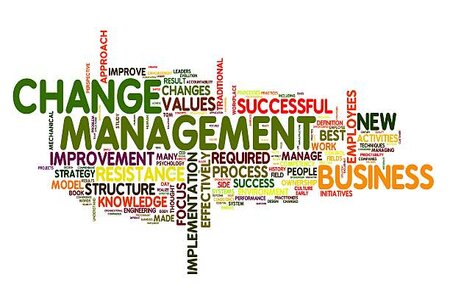 The Role of Change Management in Modern Organizations