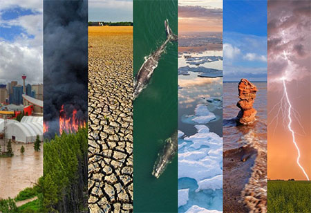 The Hidden Dangers of Environmental Hotspots: What You Need to Know