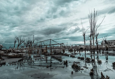 Tata and Nissan have Unveiled a Service Plan for Cyclone Michaung Victims