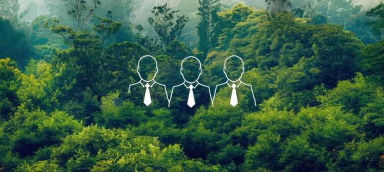 Beyond Carbon Counting: Culture Over Compliance in ESG