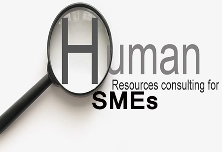 How HR Consultants Can Drive Business Success For SMEs