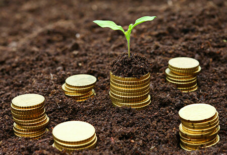 How can Micro Financing Firms help small business in 2022?