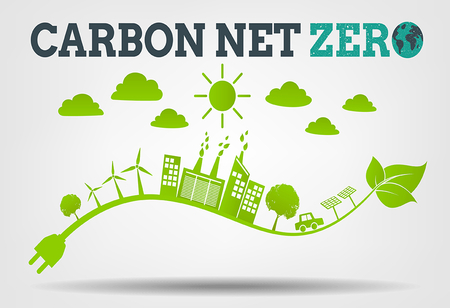Sustainability Consulting: How to Navigate the Path to Net-Zero Emissions