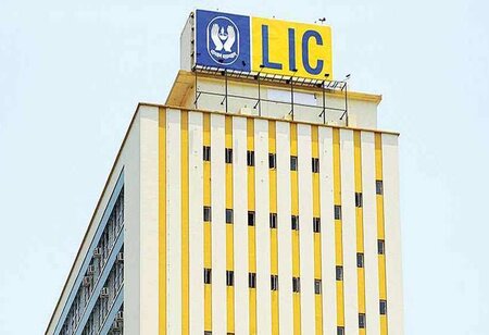 LIC eyes ₹25K crore from anchor investors
