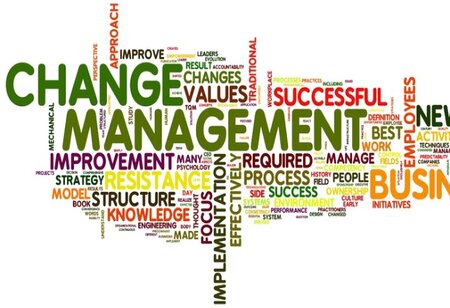 Effective Implementation of Change Management in an Organization