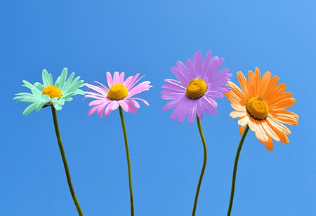 Why Is DEI Training Important