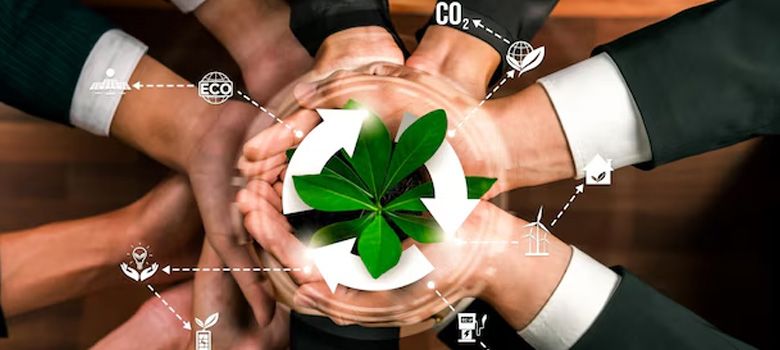 Beyond Carbon Counting: Culture Over Compliance in ESG