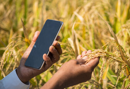 CSC SPV Initiates Agri Services E-Marketplace
