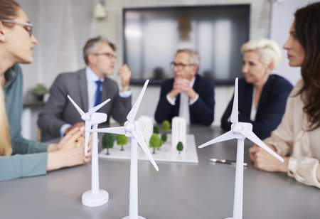Eco-Conscious Strategies: A Consultants' Perspective on Sustainability in Business