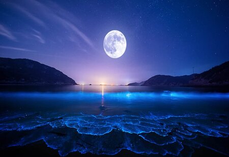 Ancient Meteorite Unearths Surprising Lunar Water Secrets